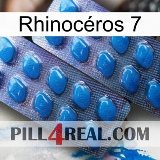 Rhinocéros 7 viagra2